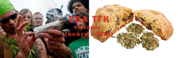 индика Михайлов
