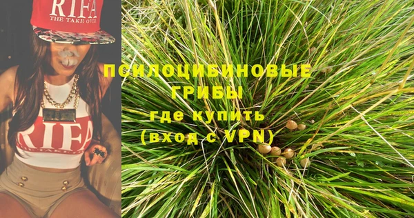 тгк Мегион