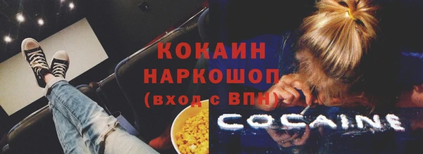 твердый Михайловка
