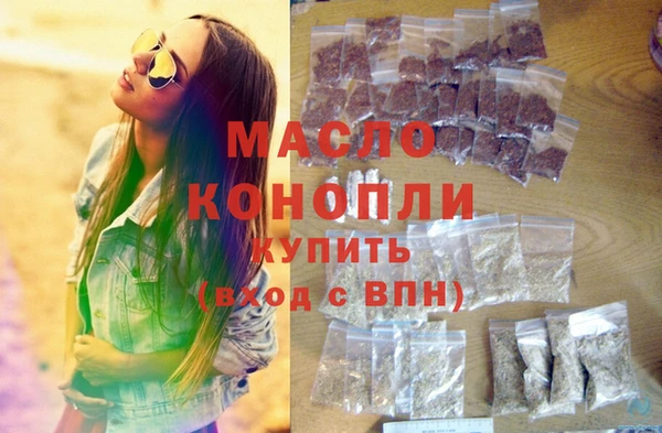 индика Михайлов