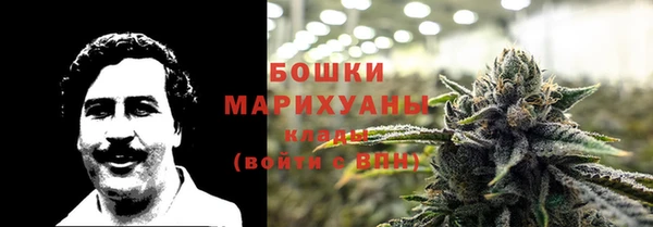 тгк Мегион