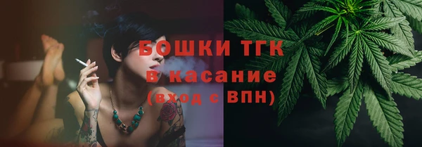 тгк Мегион