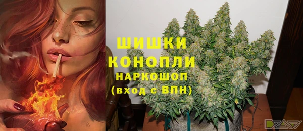 гашик Михайловск