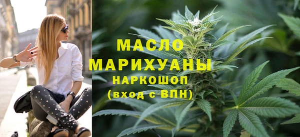 индика Михайлов