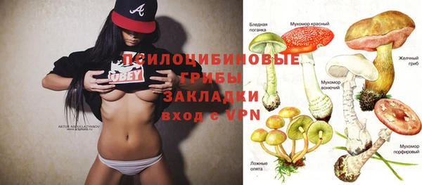 спиды Медногорск