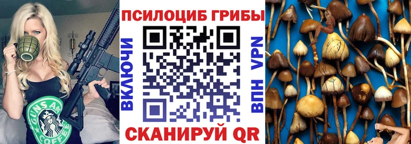 Псилоцибиновые грибы Psilocybe  Подпорожье 
